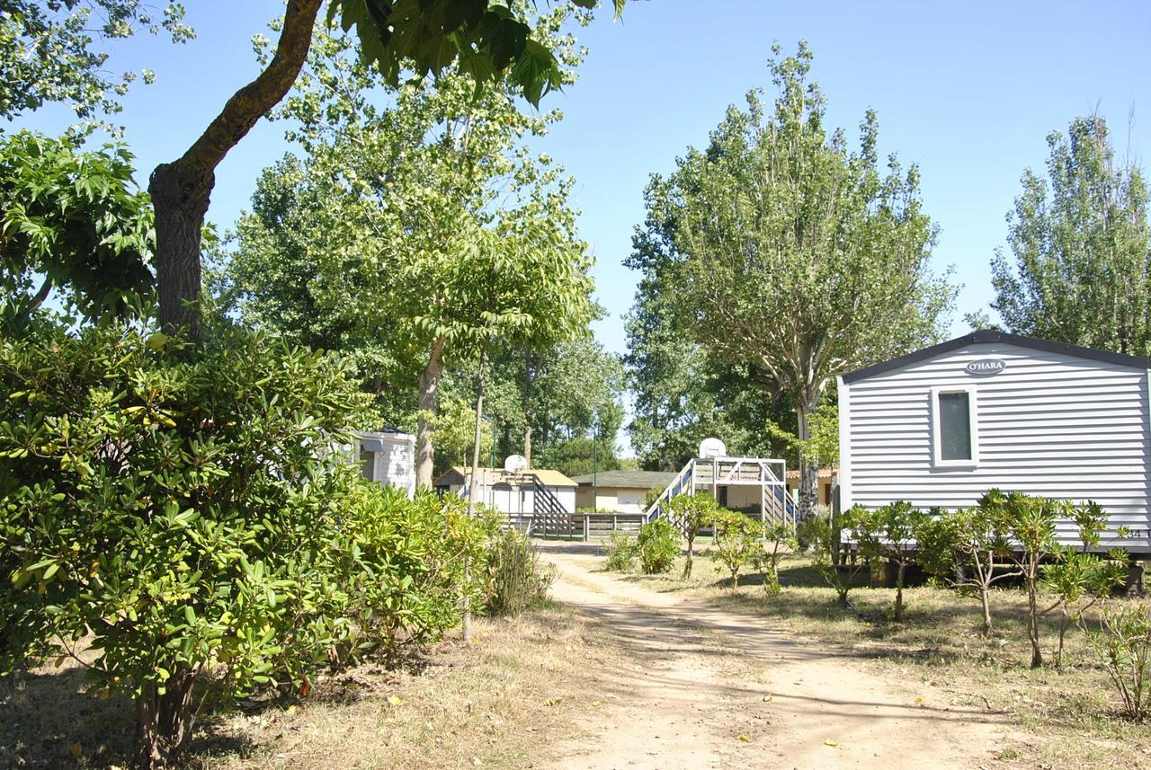 Camping La Dune Vias Dış mekan fotoğraf