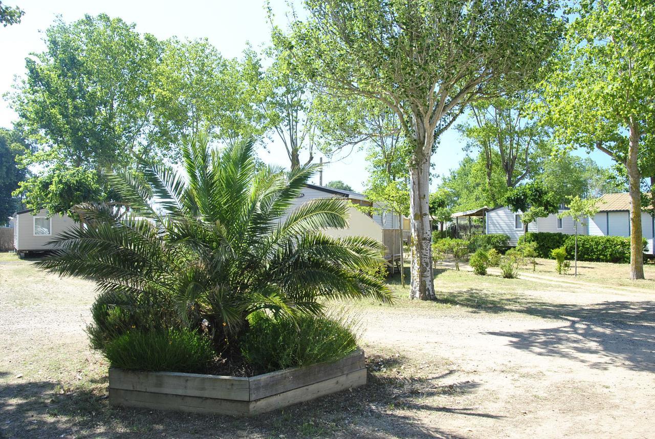 Camping La Dune Vias Dış mekan fotoğraf